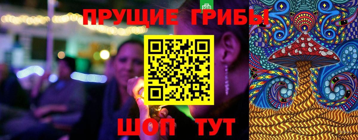 Псилоцибиновые грибы Psilocybine cubensis Сокол