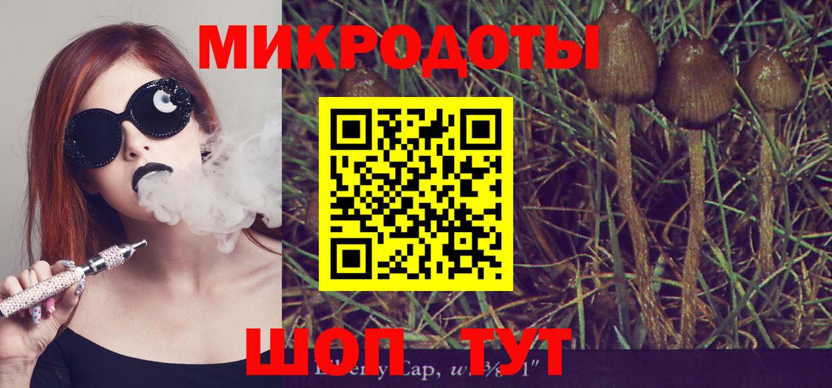 Псилоцибиновые грибы мицелий  Галлюциногенные грибы прущие грибы  Сокол  магазин продажи наркотиков  Вход с VPN 