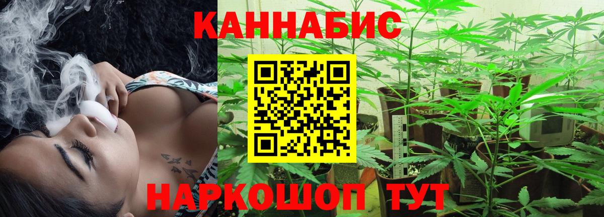 Канабис Bruce Banner  Вход с VPN  Марихуана семена  Сокол  Марихуана ГИДРОПОН 